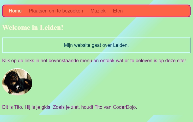 Beginner HTML/CSS website maken